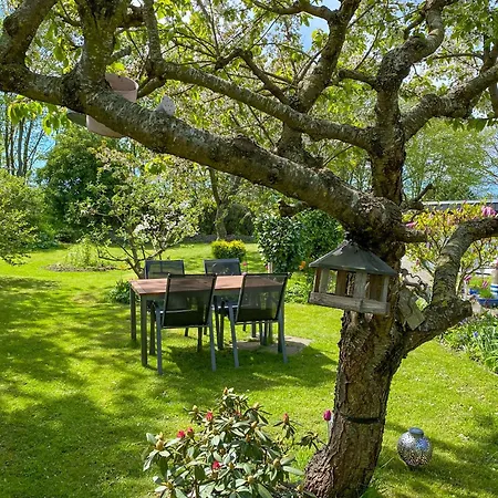 Am Lohmer Wanderweg Apartment