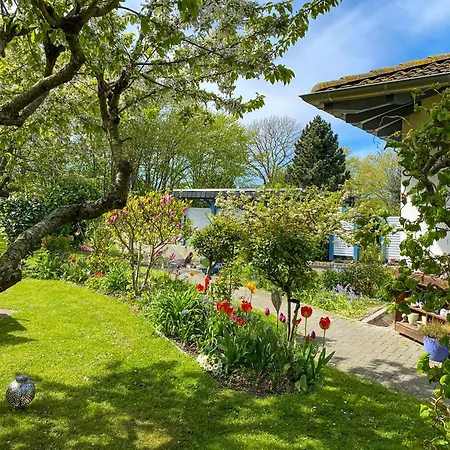 Am Lohmer Wanderweg Apartment